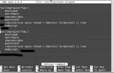 error: nginx:9 duplicate log entry for